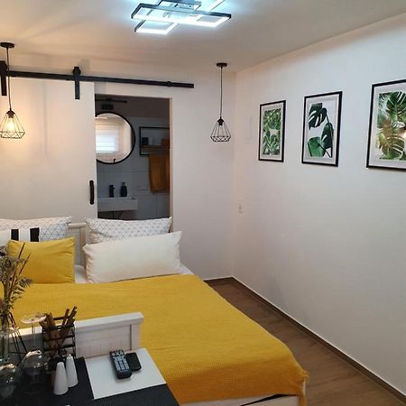 Studio-Apartment Kontaktloser Check-In Meckenbeuren Dış mekan fotoğraf