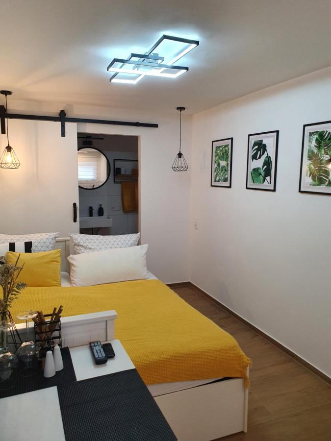 Studio-Apartment Kontaktloser Check-In Meckenbeuren Dış mekan fotoğraf